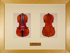 ���T�T�[�r�X�C���[�W�J�b�g