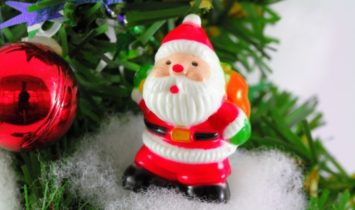 540x360ximg_8030-540x360_jpg_pagespeed_ic_xrofa33zm9